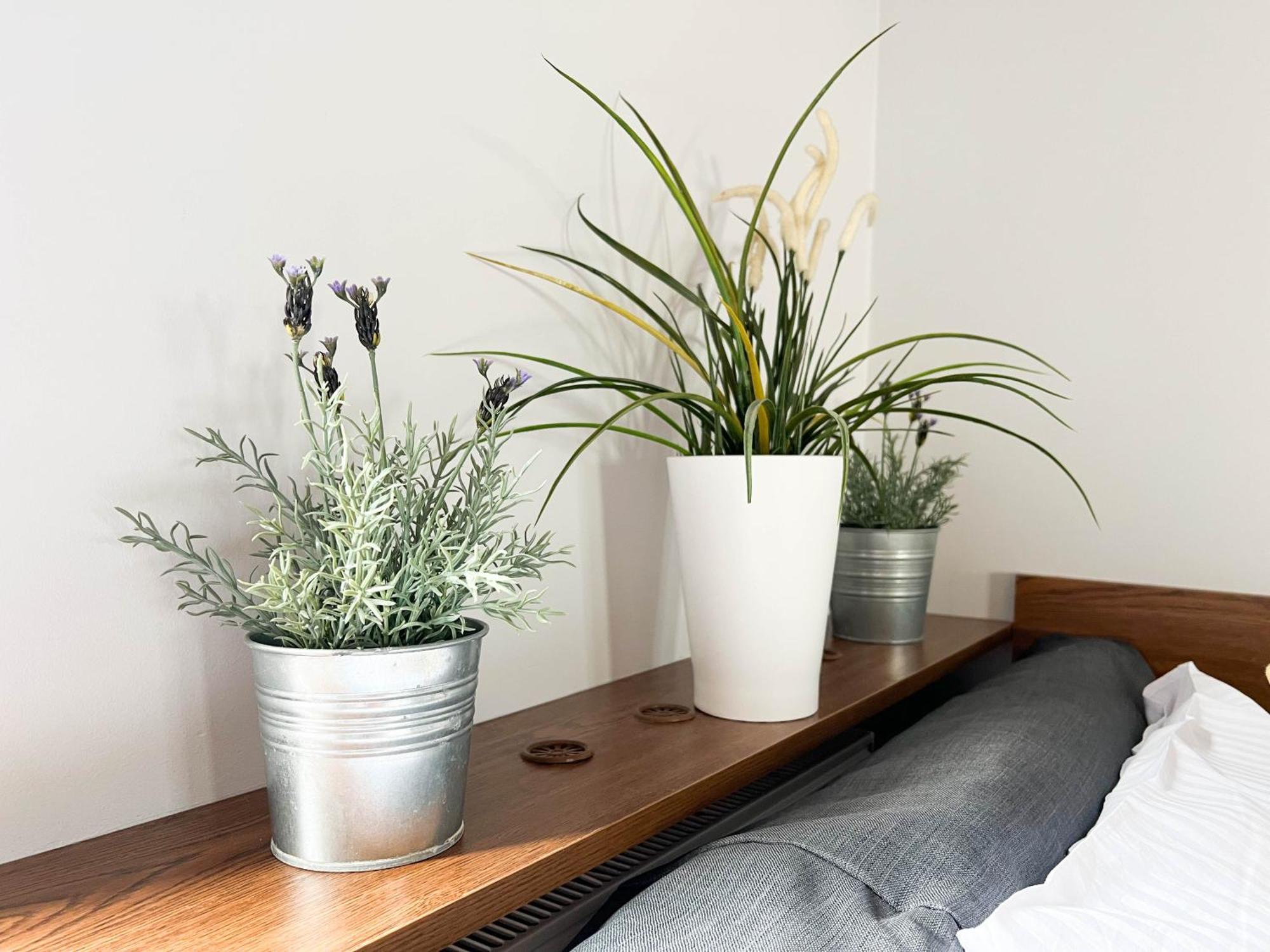 3D Szlak 77 Apartament Krakow Dış mekan fotoğraf